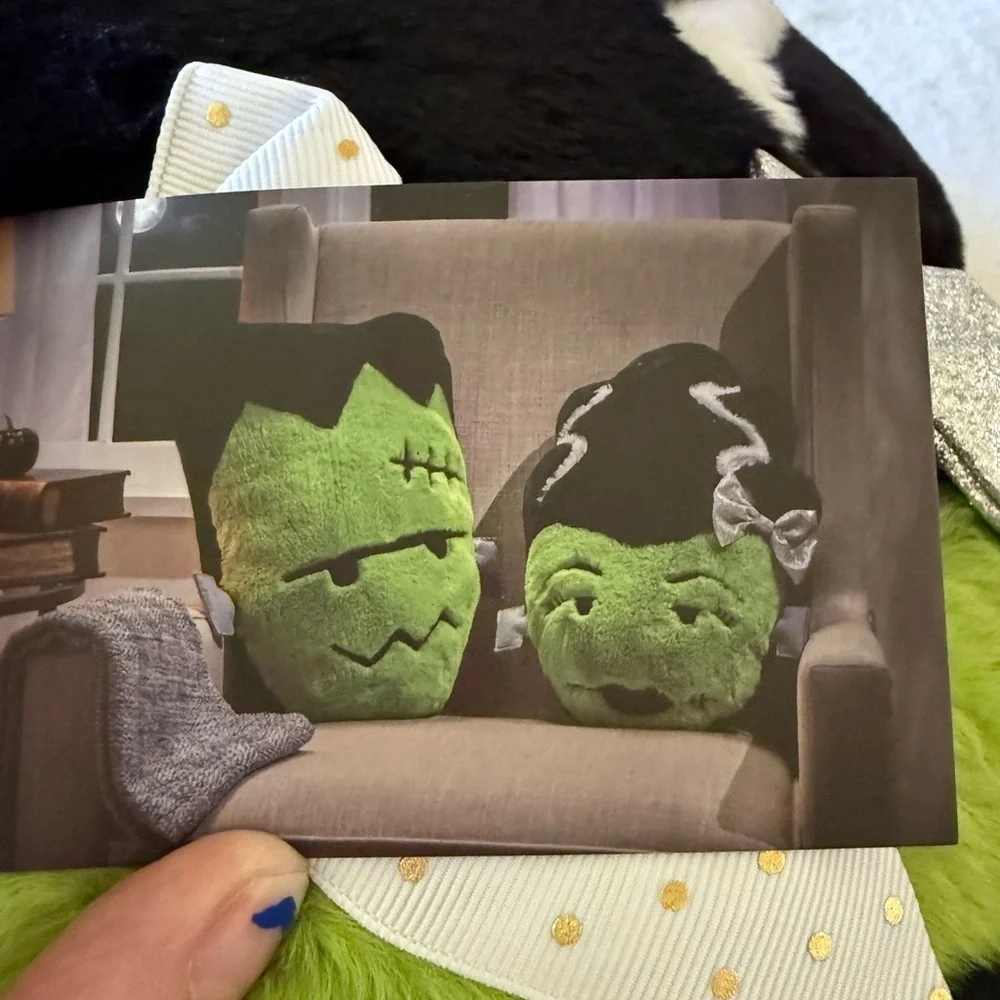 Isaac Mizrahi Frankenstein Pillows Green and Black New Homegoods
